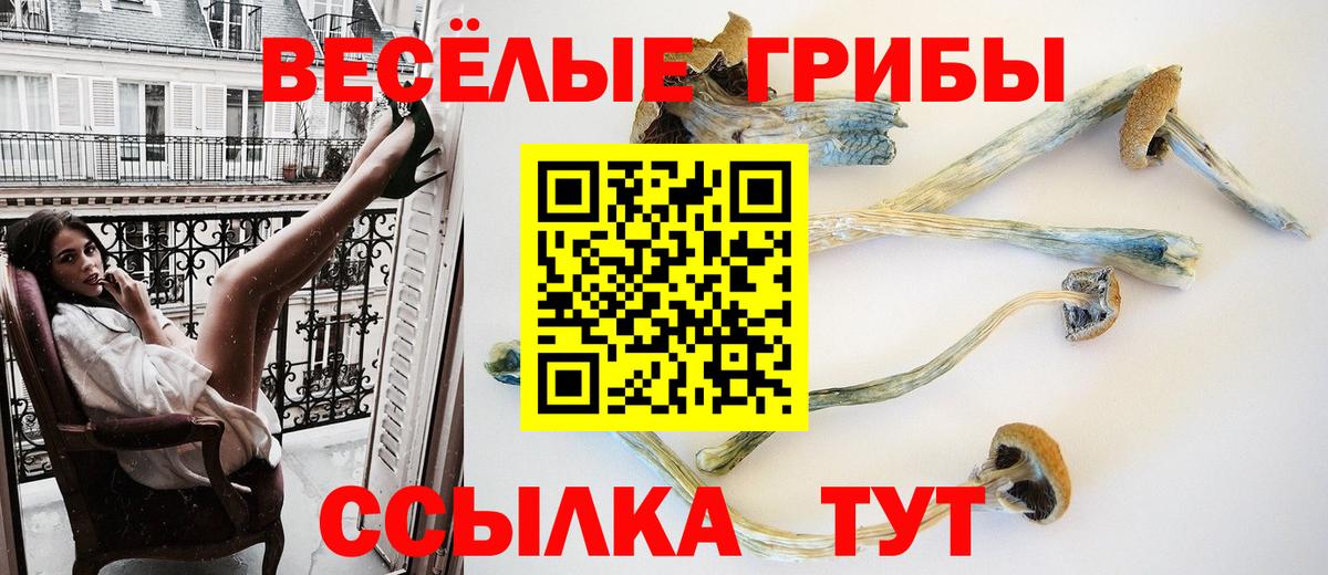 Галлюциногенные грибы MAGIC MUSHROOMS Сергиев Посад