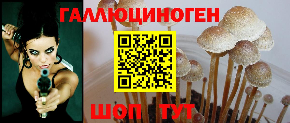 продажа наркотиков  Галлюциногенные грибы Psilocybe  Галлюциногенные грибы прущие грибы  Вход с VPN  Сергиев Посад 